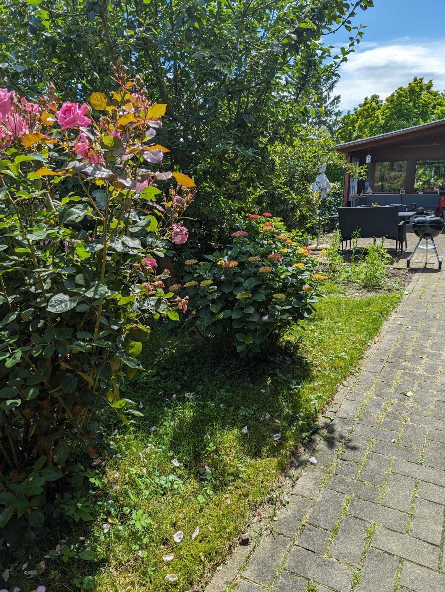 Ferienwohnung Bullersberg Balge Eksteriør billede